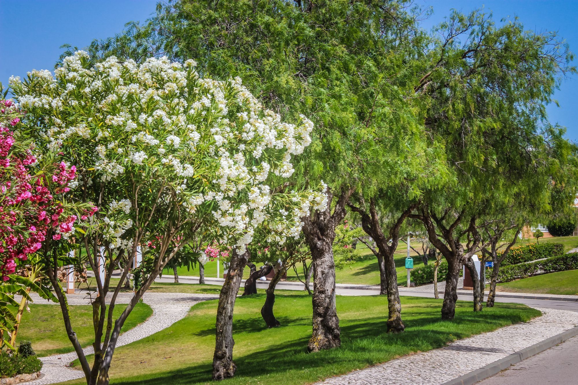 Colina Da Lapa & Villas Καρβοέιρο Εξωτερικό φωτογραφία